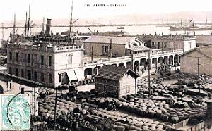 Alger - Port - Vue sur le Douane - 1905